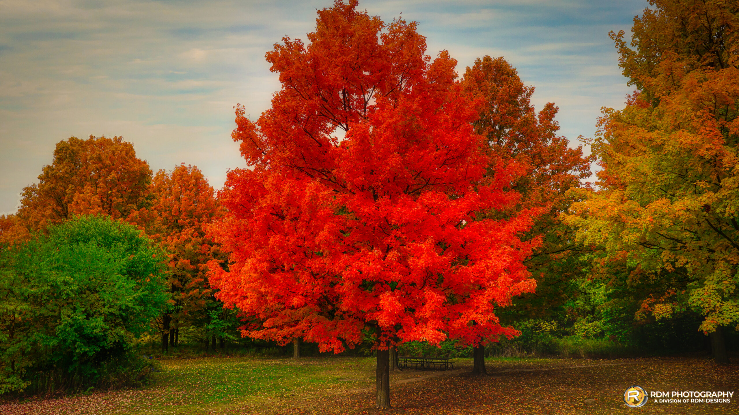 Toronto — fine art landscape photography by RDM Designs